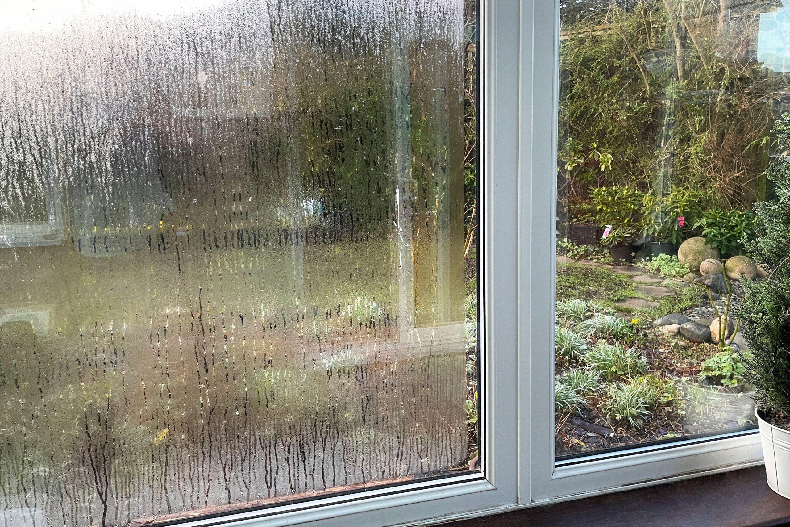 Fogged/Broken Insulated Glass